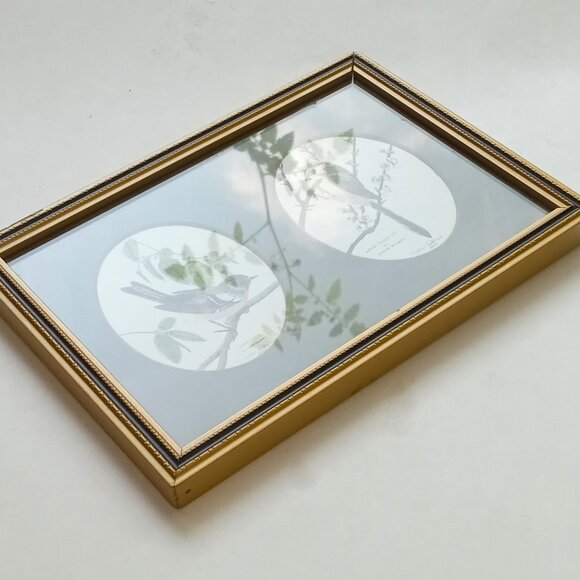 VTG John Morland Birds Hand Colored Glastonbury Print Framed Made in England - Picture 2 of 9